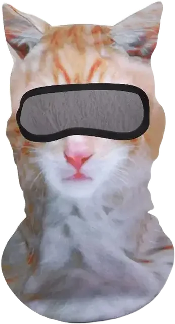 Ginger Cat print