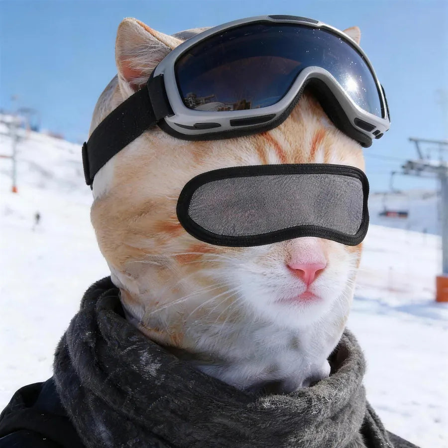 Person on a ski slope wearing the Ginger Cat balaclava under goggles